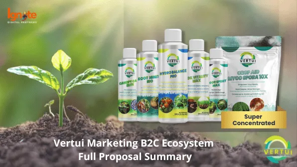 Vertui: Marketing proposal: cover